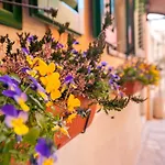 Guest House Sotto I Volti Centro Storico